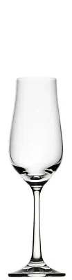 Buy Praline Prosecco Clear Cocktail Wine Spirits Glasses 5.75oz (16cl) Pack Of 4 • 18.59£