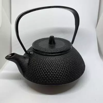 Buy Nambu Ironware NAMBU TEKKI  Sangando Teapot • 84.29£