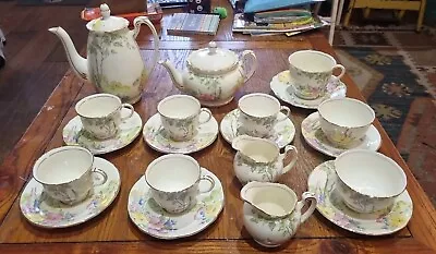 Buy 19 Pieces Of Foley 'Evesham' Handpainted China Teawares • 19.99£