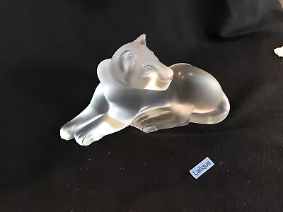 Buy Lalique Large SIMBA Lioness Frosted Crystal Figurine, Resting Position 9.5  Long • 719.28£