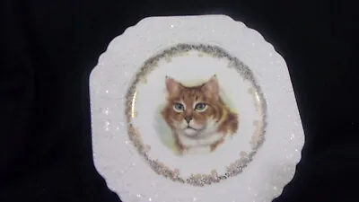 Buy Vintage Lord Nelson Pottery England  ~ Hand Crafted Big Tabby Cat Plate 8.5  • 18.90£