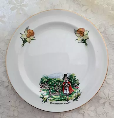 Buy NEW Souvenir Of Wales - China Old Foley Small Side Plate - Vintage Traditional • 4.25£
