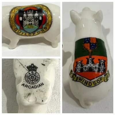 Buy Two Crested Ware Pigs Windsor & Guildford Arcadian & Salter • 19.99£