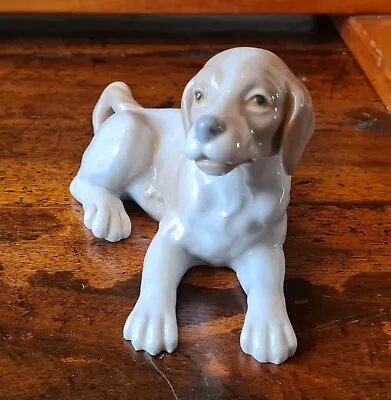 Buy Nao By Lladro Lying Puppy Daisa Dog Excellent Condition 1/2 • 14.99£