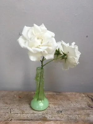 Buy Antique Clear And Opalescent Green Uranium Glass Rose Thorn Bud Vase • 60£