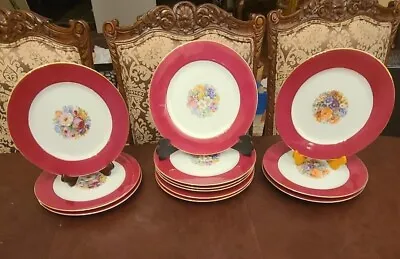 Buy Thomas Bavaria German Porcelain Set Of 12 Dinner Plates Burgandy & Floral Motif • 364.03£