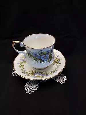 Buy Queen's Fine Bone China Rosina China Co. Ltd. 'Wild Flowers' Tea Cup & Saucer • 17.48£