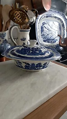 Buy Old Willow Pattern Blue And White Taurean • 30£