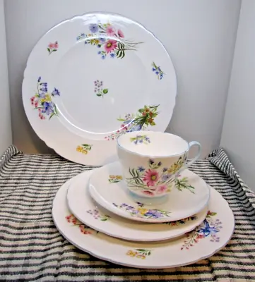 Buy Shelley Vintage Fine Bone China  Trio With 8 And 9 Inch Plates  Wild Flowers  • 6.99£