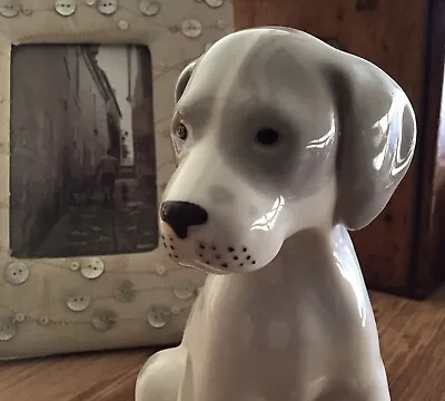 Buy Lomonosov Russian Porcelain Dog • 19.99£
