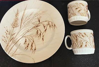 Buy English Ironstone Tableware Staffordshire Underglaze Wheat Brown Plates And Cups • 4.96£