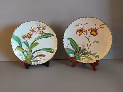 Buy 2 Rare Antique Minton Orchid Plates, C3108, Ø 22cm, Micro Crazing, ON OFFERS • 78£