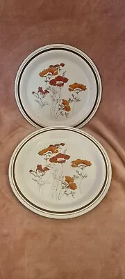 Buy Set Of 2 Royal Doulton Fieldflower Lambethware Plates • 18£