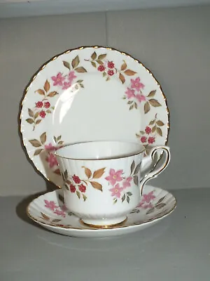 Buy Royal Stafford Fragrance Bone China Tea Trio - Tea Cup Saucer And Tea Plate • 6.99£