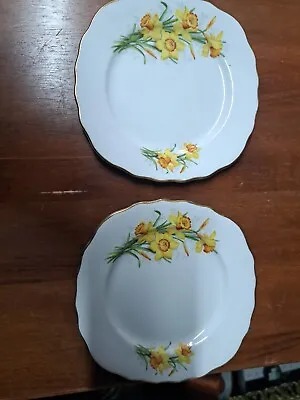 Buy Vtg Royal Vale Bone China 6  Side Plate X 2 Daffodils Made In England Pre-Owned • 8£