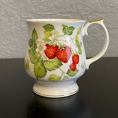 Buy Queens Virginia Strawberry Cup / Mug Rosina China Co. Fine Bone China -1 • 19.20£