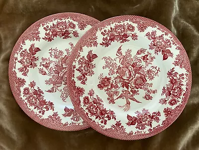 Buy Royal Stafford  Asiatic Pheasant Red  ~ Set Of 2 Salad Plates ~ Mint Condition • 38.01£