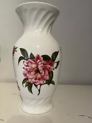 Buy Rare Aynsley Fine Bone China Chelsea Flower Vase Height 22 Cm Base 8.5cm Ex Cond • 7.50£