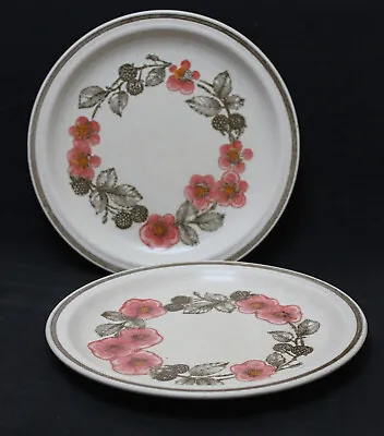 Buy Vintage Pottery Churchill  : Bramble  : 2 X Dinner Plates *R • 10£