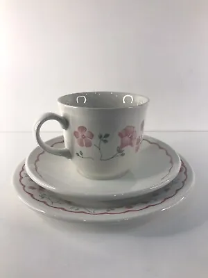 Buy Pink Floral Tea Cup, Saucer, Side Plate Trio - Staffordshire Tableware England  • 16£