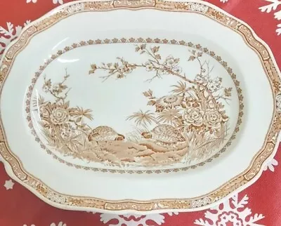 Buy Antique Furnivals Brown QUAIL Serving Platter/ Charger/ Meat Plate 33 X 25cm • 27£