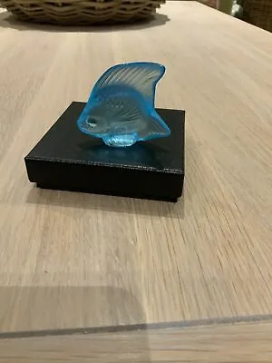 Buy Lalique Crystal Fish Sculpture: Light BLUE Bleu #10362700 Brand New Boxed Rare • 64.99£