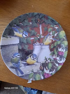 Buy Vintage Decorative Plate - Coalport - Top Of The Morning • 5£