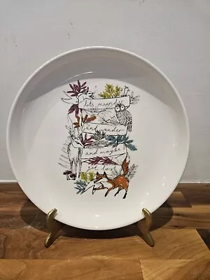 Buy Paperchase Porcelain Plate Woodland Owl Fox Deer 20cm • 12£