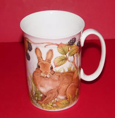 Buy ROY KIRKHAM Bone China * Woodland Rabbits / Hares Mug * 3.75  (9.5cm) Tall  • 9.99£
