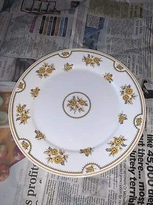 Buy SPODE - Y8190 Dinner Plate-perfect Condition, White/gold Floral Fine Bone China  • 20£