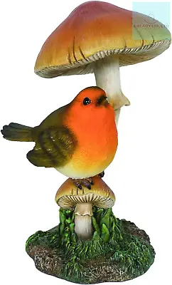 Buy Vivid Arts - Brown And Red Robin On Toadstool Home Or Garden Decoration • 23.46£