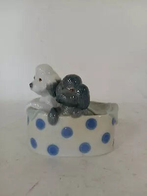 Buy Vintage 1988 Nao By Lladro Poodle Puppies Dogs In Bed Basket Figurine Pre Owned  • 6.99£