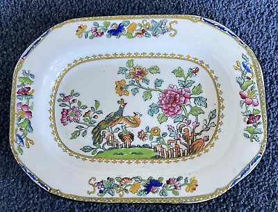 Buy Antique Spode Copeland’s China Bowl. Exotic Pheasant Peacock Design #2118 • 15£