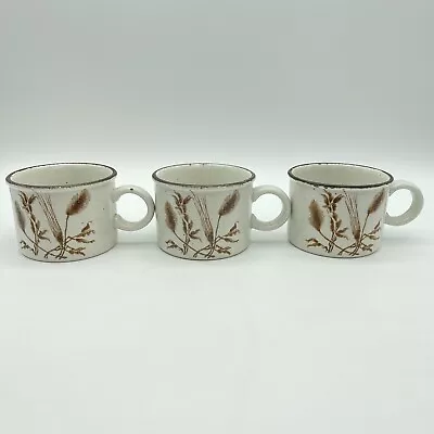 Buy Set Of 3 Midwinter Stonehenge Wild Oats Flat Coffee Cups Brown Cream Speckled  • 14.20£