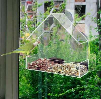 Buy Clear Perspex Window Bird Feeder Table Seed Peanut Hanging Suction See-Through • 6.49£