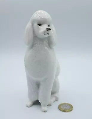 Buy Vintage LOMONOSOV Porcelain Figurine, White King Poodle Sitting, Made In USSR • 15£