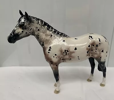 Buy Beswick Appaloosa Stallion, Model No.1772. Excellent Condition. • 100£