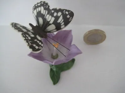 Buy Franklin Mint Porcelain Butterflies Of The World Sculpture Marbled White • 12.99£