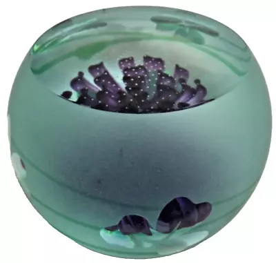 Buy Caithness Glass Paperweight Lucky Clover Limited Edition 29/500 Collectable • 30£