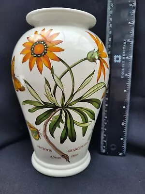 Buy Portmeirion Pottery Botanic Garden Tall Vase In African Daisy Pattern • 8£