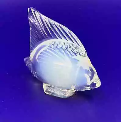 Buy Lalique Glass Fish Sculptures, Various Colours • 75£