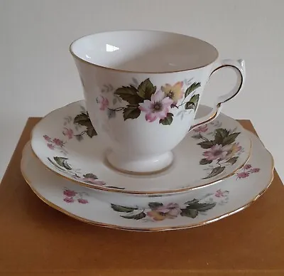Buy Queen Anne Bone China Trios, Pink Floral Design, Teacup, Saucer And Tea Plate • 5£
