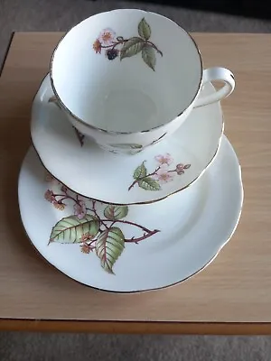 Buy Adderley Bramble Trio - Cup, Saucer, Side Plate - Very Good Condition  • 9.99£