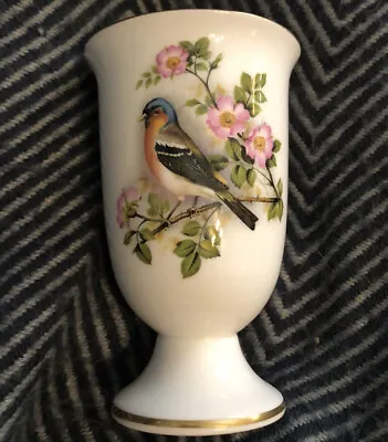 Buy Sutherland Pottery - Bullfinch Vintage Goblet Bone China • 6£
