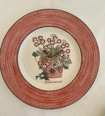 Buy Wedgwood Sarah's Garden Primula Auricula Queen's Ware 1997 Decorative Plate 21cm • 12£