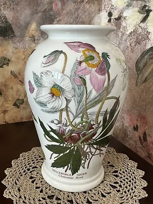 Buy Portmeirion Botanic Garden Canton Vase 21cm /8.25  Boxed Unused Helleborus Niger • 20£
