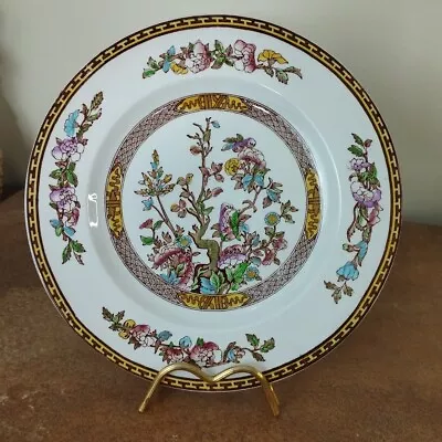 Buy Vintage, Washington Pottery 'Indian Tree' Pattern Dinner Plate 25cm • 5.95£