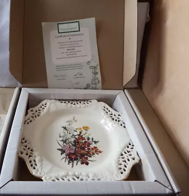Buy Royal Creamware Floral Collection Perforated Plate  Buttercup  Paul Jerrard • 8.50£