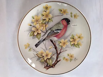 Buy Bullfinch, PRINKNASH Pottery Plate,  GLOUCESTER, Signed M.HAGUE • 6.99£