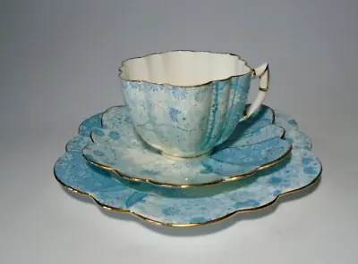 Buy Wileman Foley China Daisy Tea Cup, Saucer & Plate Trio, Blue Jungle; C.1890 • 64.95£